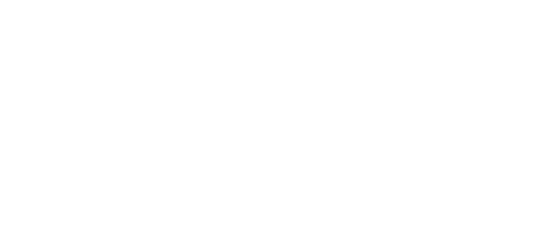 Paolina - bière artisanale